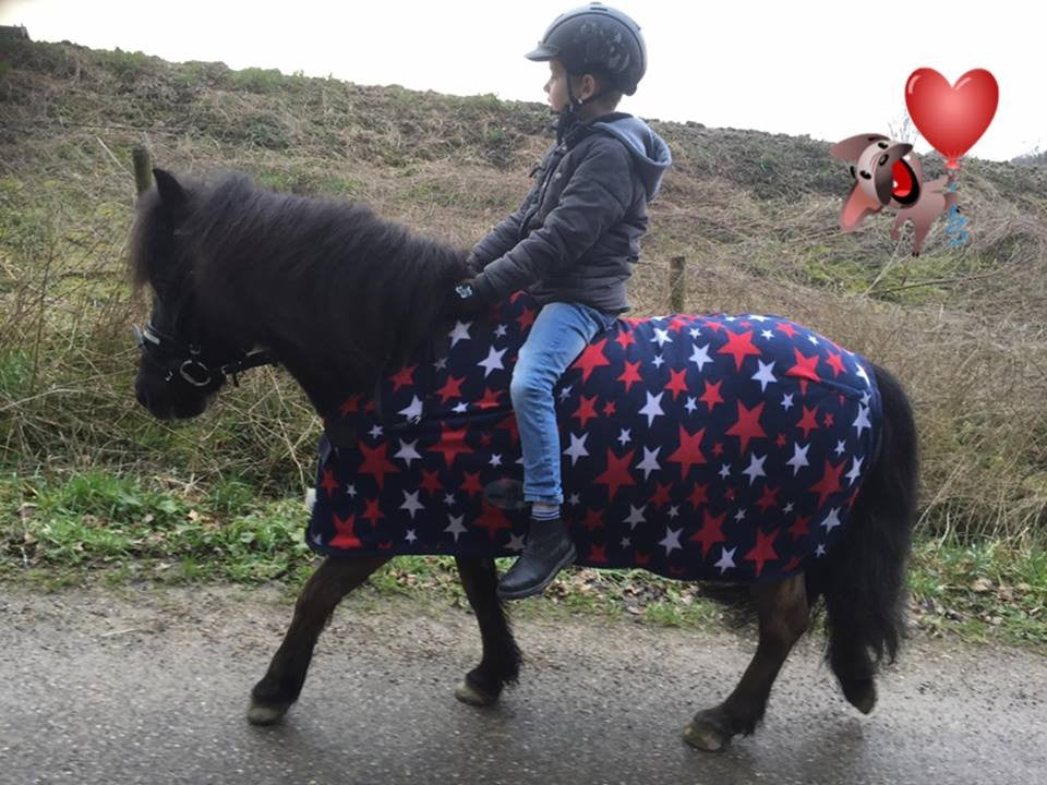 HB Harry and Hector Star fleece