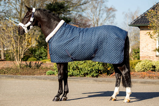 HB Showtime showdeken Desir