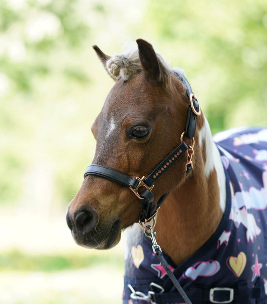 HB H&H outdoordeken fleece Unicorn Dream