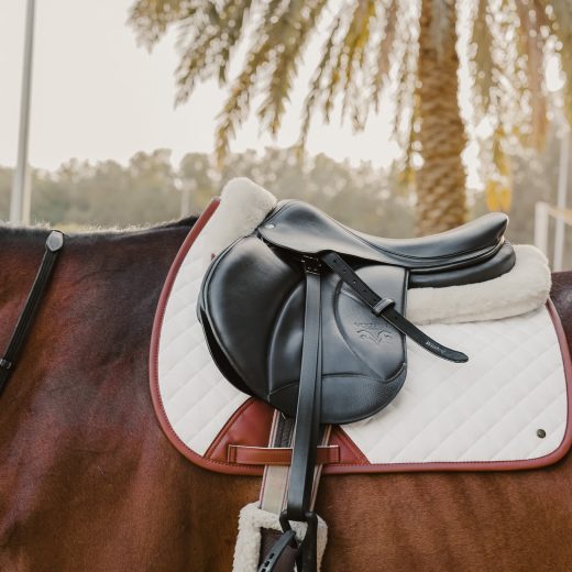 Zadeldek Classic veelzijdigheid