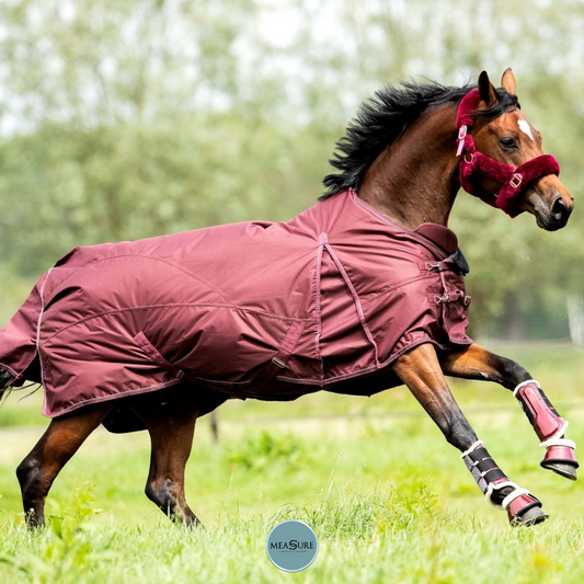 HB Showtime Channel winterdeken burgundy