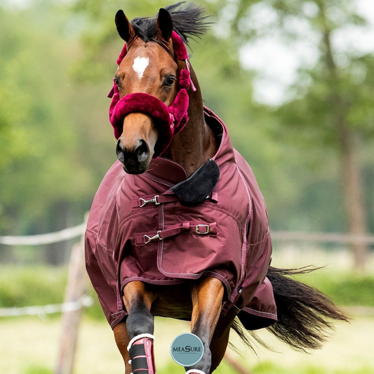 HB Showtime Channel winterdeken burgundy