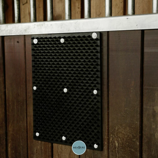 Borstelmat voor Paard