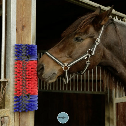 De ultieme borstel voor aan de muur