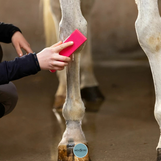 Excellent horse grooming Borstel