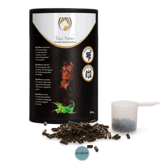 Excellent horse equi parex