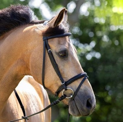 HB Hoofdstel Basic Zwart RVS