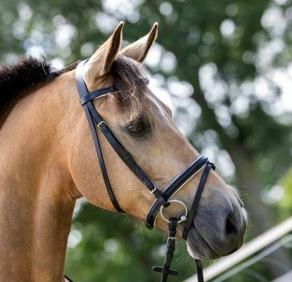 HB Hoofdstel Basic Wit Onderlegd