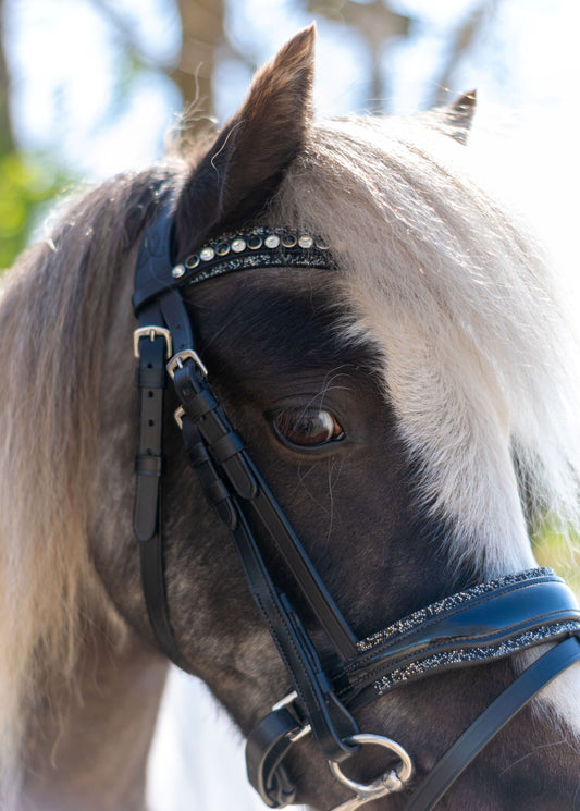 HB Showtime Welsh Bridle Rocky glitter