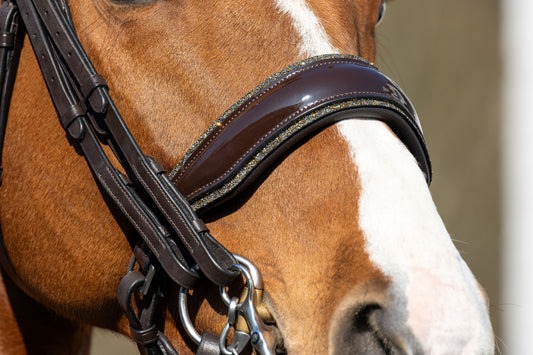 HB Showtime One in a Million