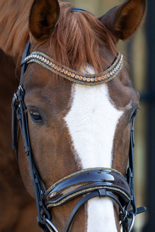 HB Showtime It is So Special