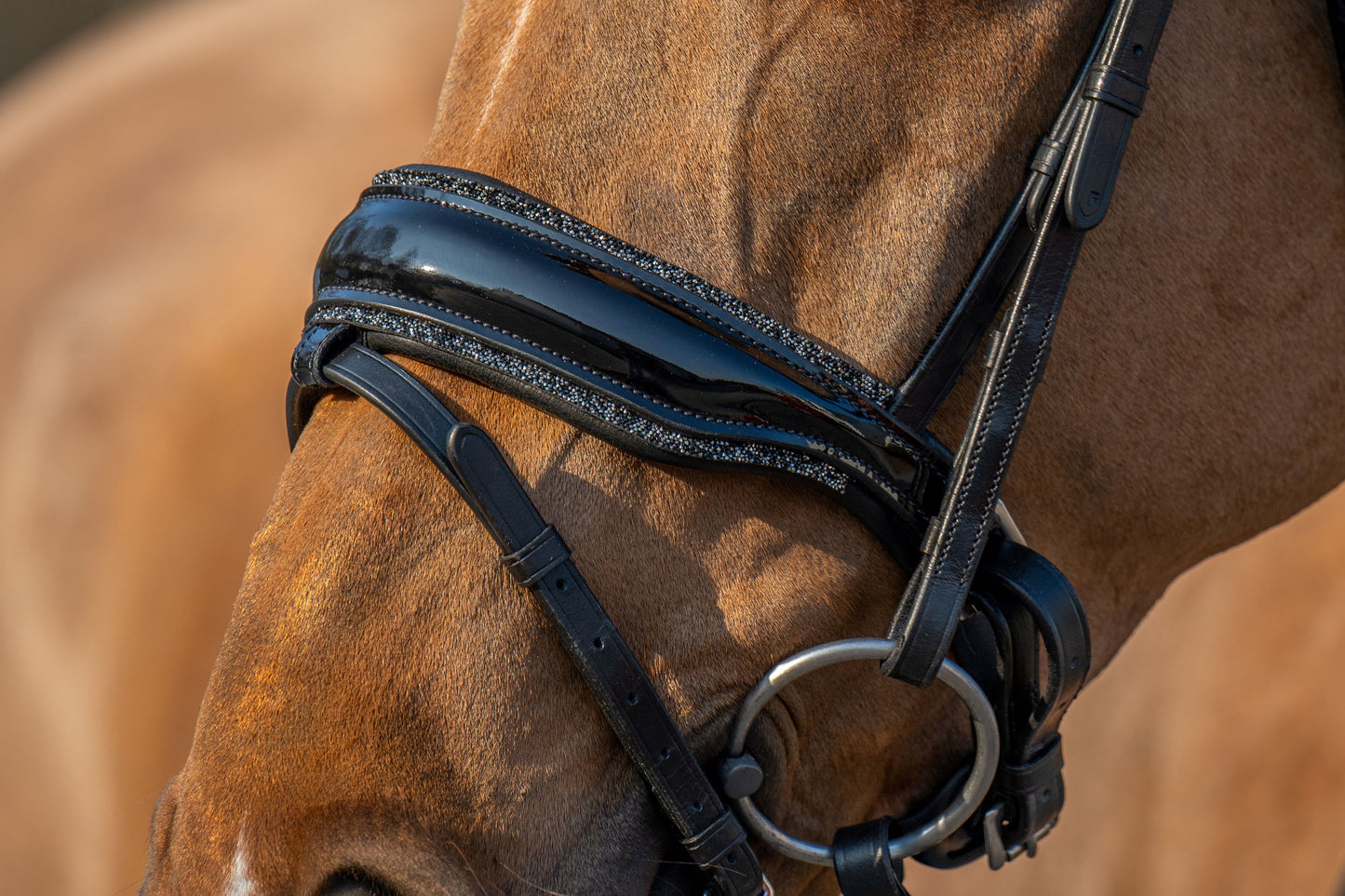 HB Showtime It is So Special