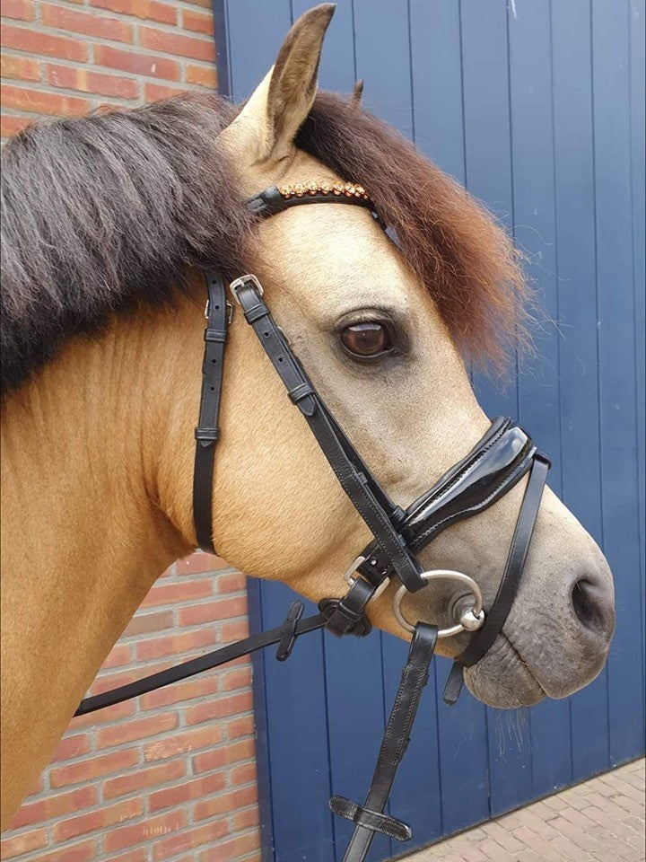 HB Show-time Rose gold