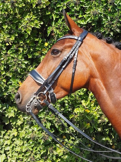 HB Showtime Stang en trens hoofdstel Dark Pleasure