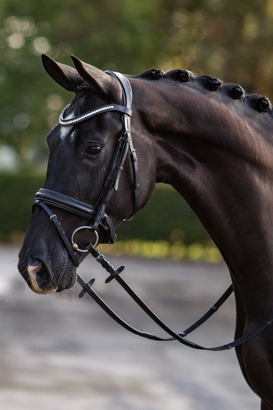 HB Showtime hoofdstel Stars