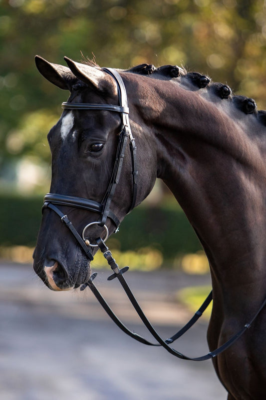 HB Showtime hoofdstel standaard