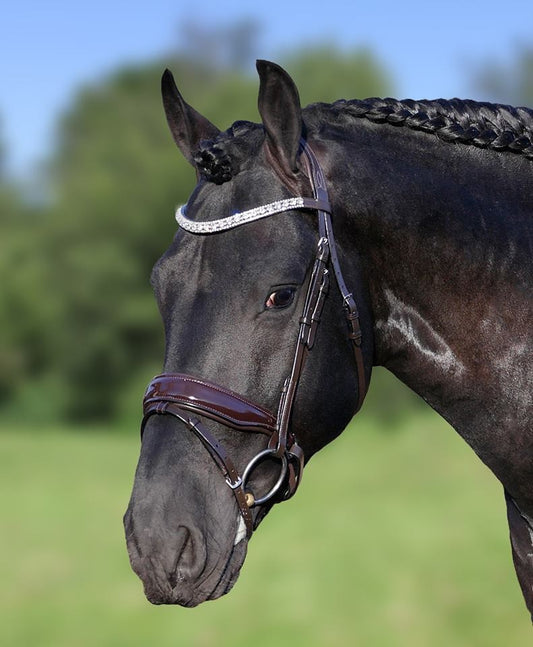 HB Showtime Hoofdstel Chicago