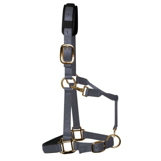 KM Elite Luxe gevoerd halster-Grijs