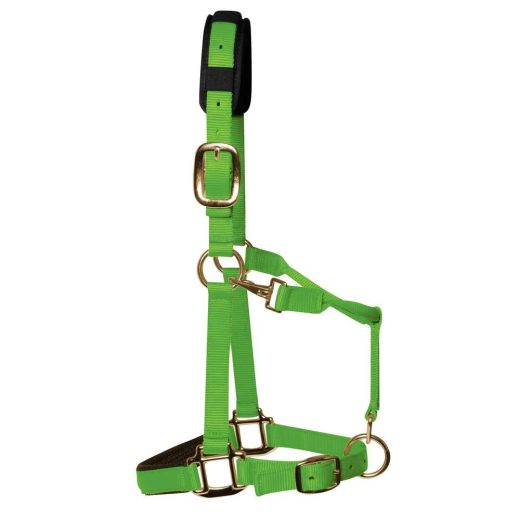 KM Elite Luxe gevoerd halster-Warm Groen