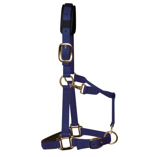 KM Elite Luxe gevoerd halster-Navy Blauw