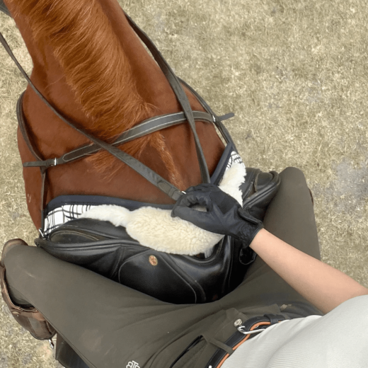 Equisk SteadyHands Handschoenen