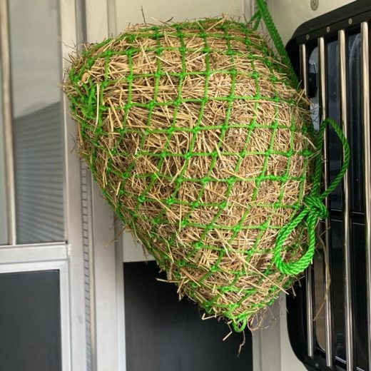 KM Elite Kleine Reis of Pony Hooinet