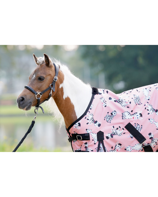 HB Harry & Hector outdoordeken Mr Squeez 0 gram