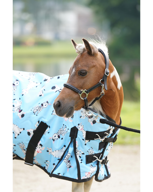 HB Harry & Hector outdoordeken Mr Squeez 0 gram