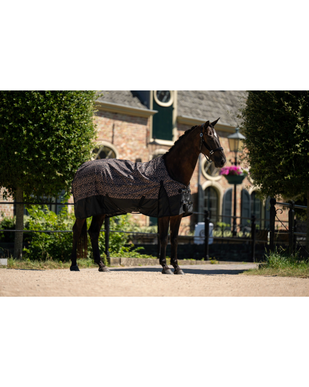 HB outdoordeken Luipaard 0 gram