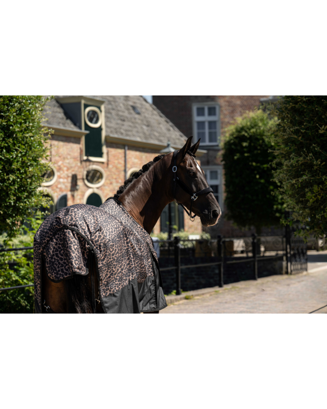 HB outdoordeken Luipaard 0 gram