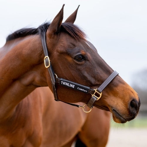 ThinLine Halster Bakstuk Beschermer