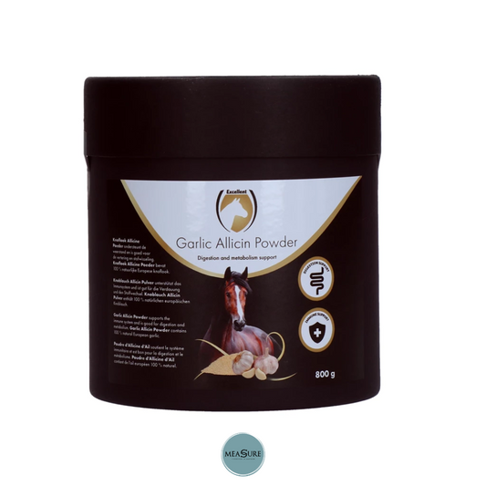 Excellent Horse Garlic Allicin Powder 800 g