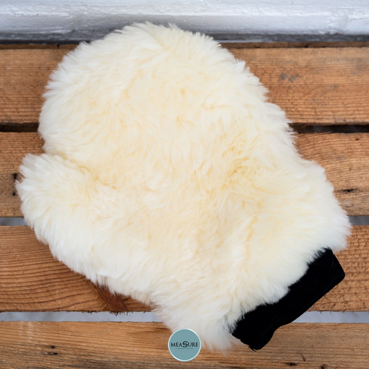 HB Show time borstel/poets handschoen schapenvacht