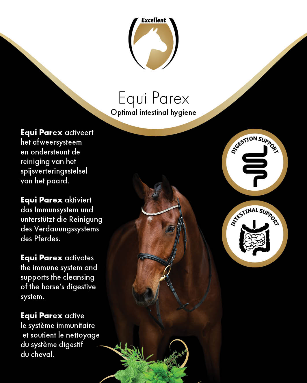 Excellent horse equi parex