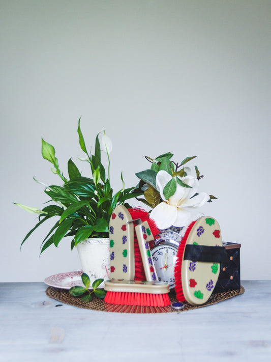 HB brabants bont set borstels