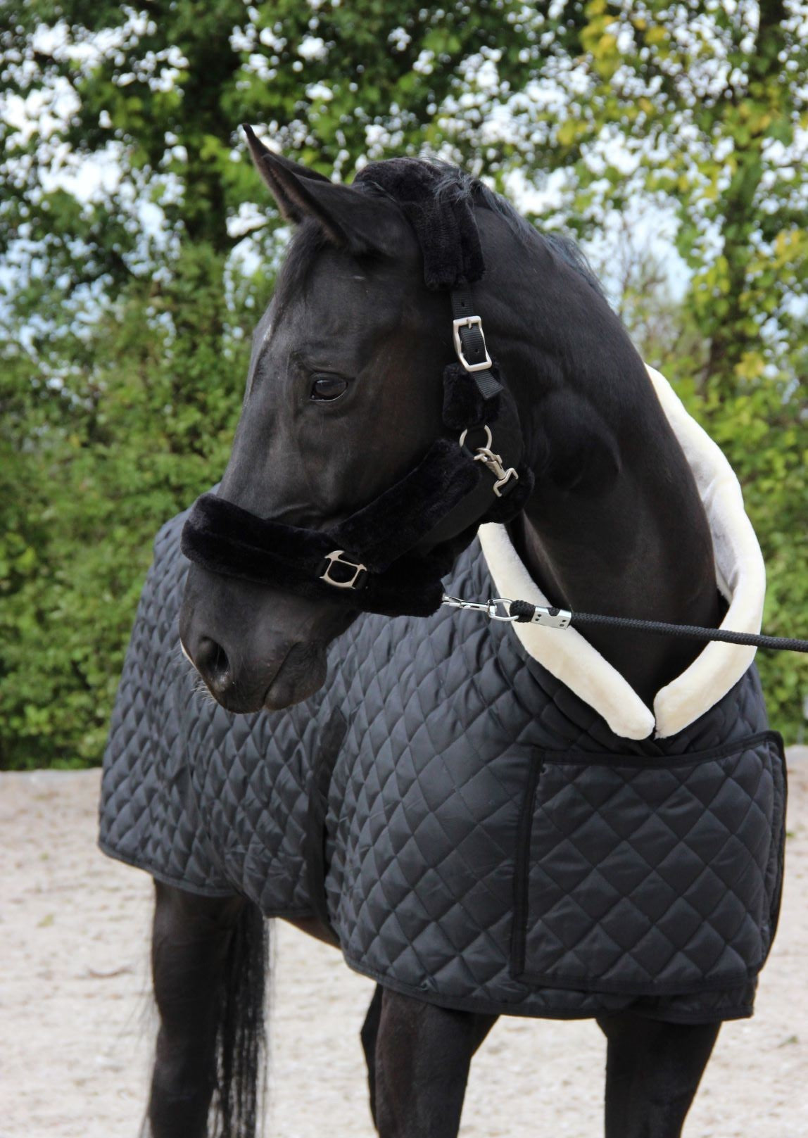 Stal- & transportdekens