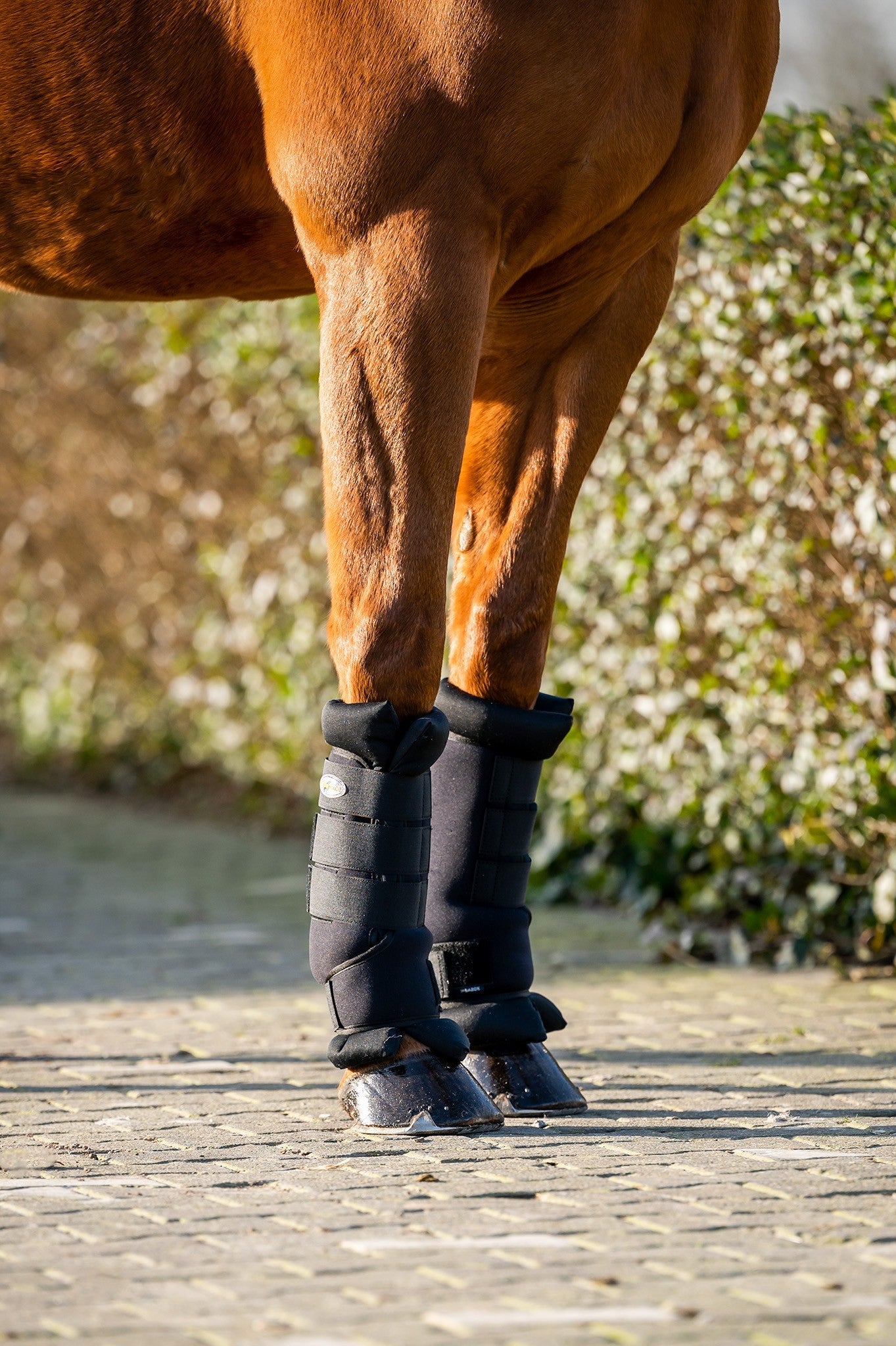 Transportbenodigdheden