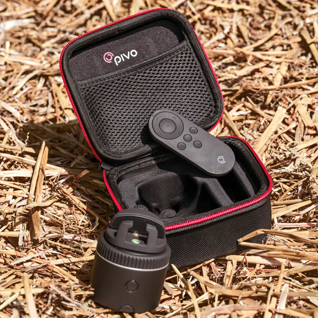 Pivo Travel Case Mini