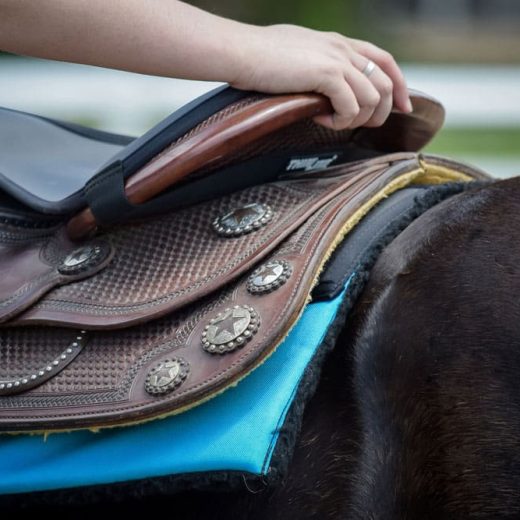 ThinLine Seat Saver