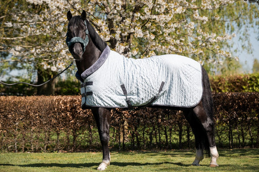 HB Showtime Sunset Sierdeken