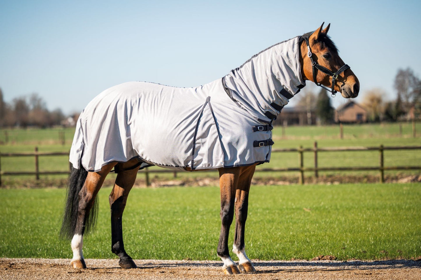 HB Vliegendekens met halsstuk