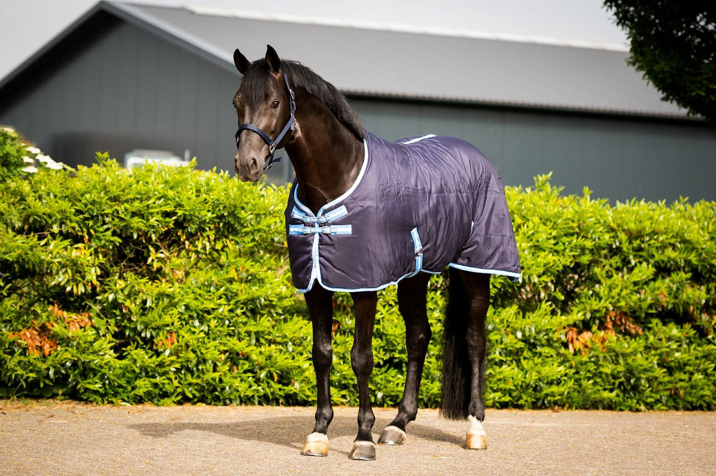 HB Staldeken Marlou 1200D 150-grams