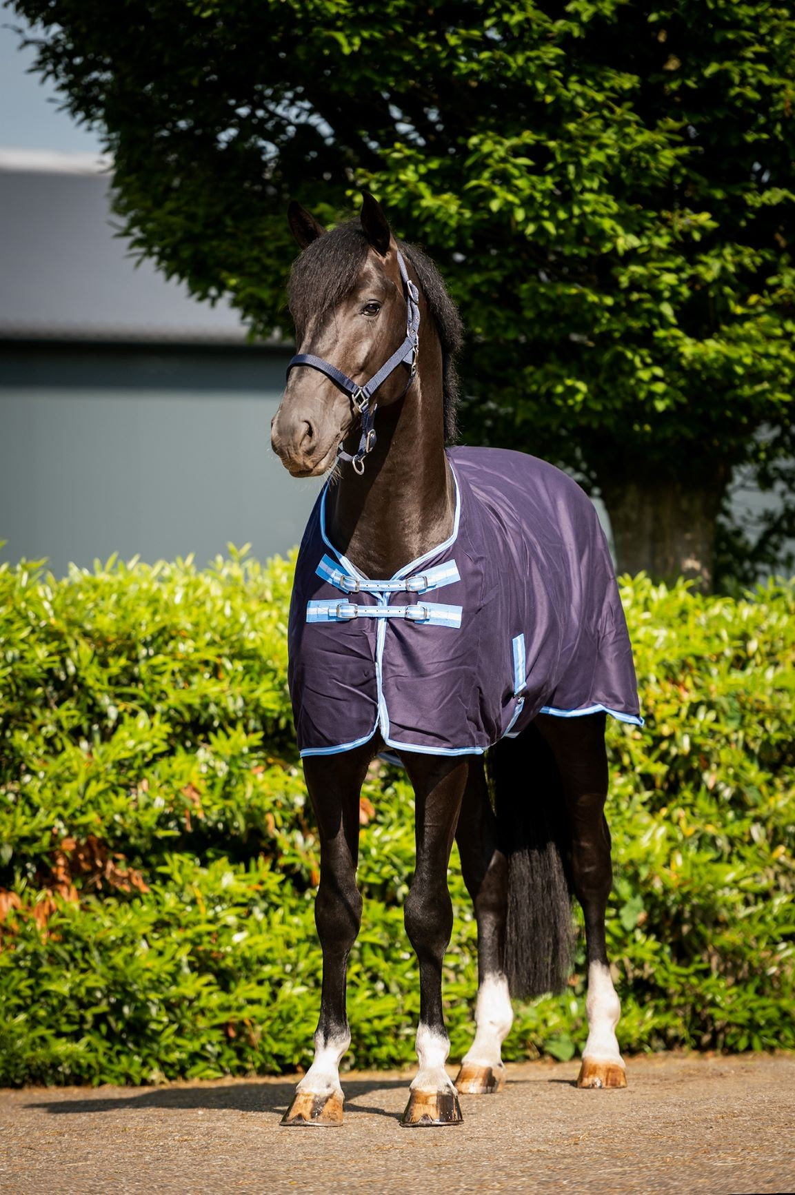 HB Zomerdeken Marlou Cotton drill