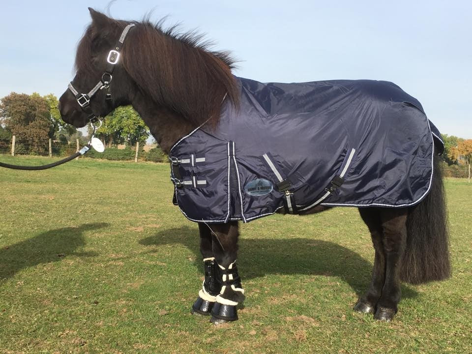 HB Harry and Hector Pony Outdoor waterdichte regendeken Blauw 200 grams
