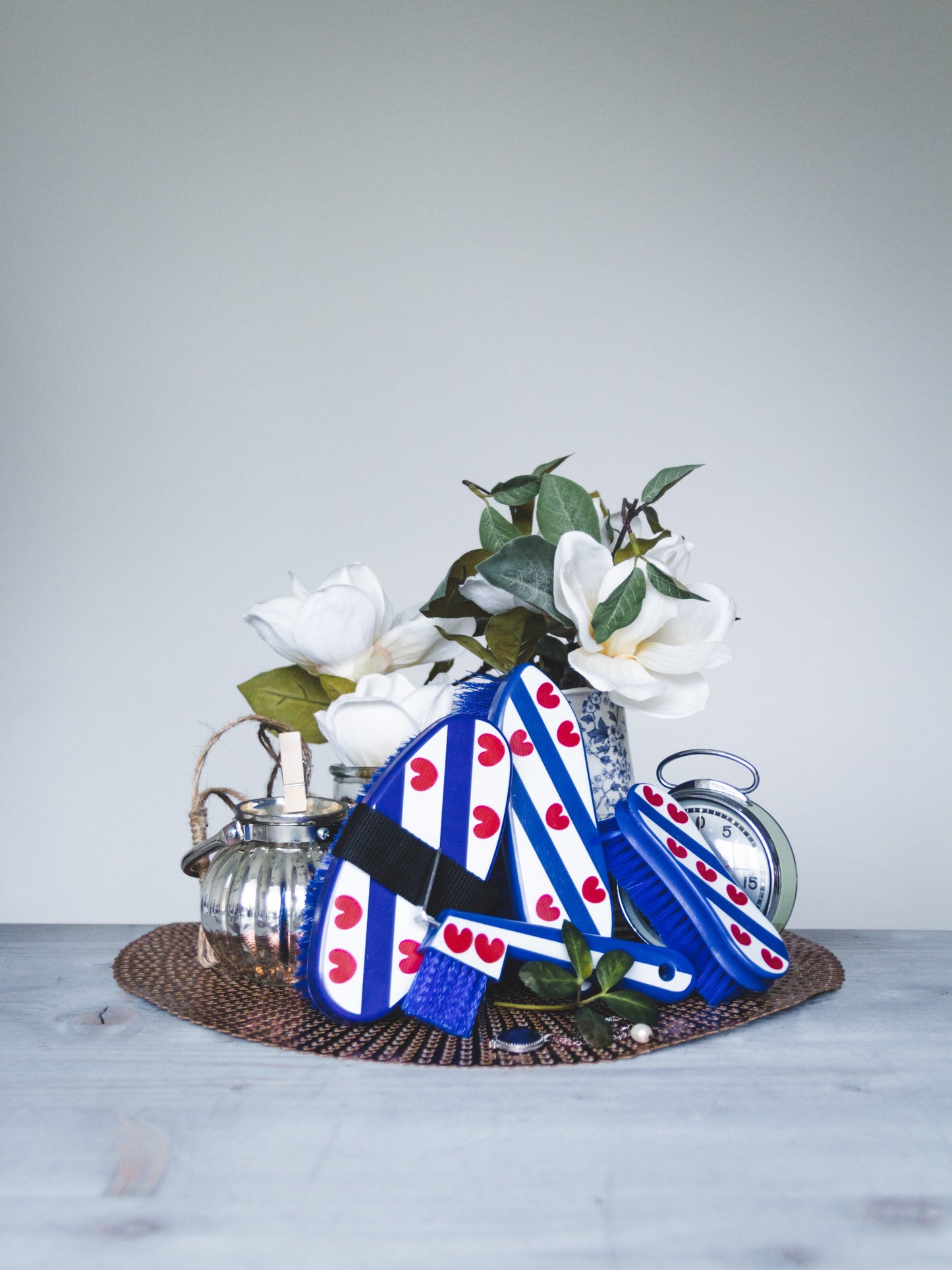 HB Friese set borstels