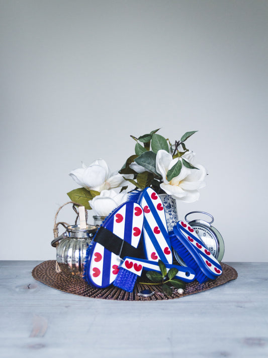 HB Friese set borstels