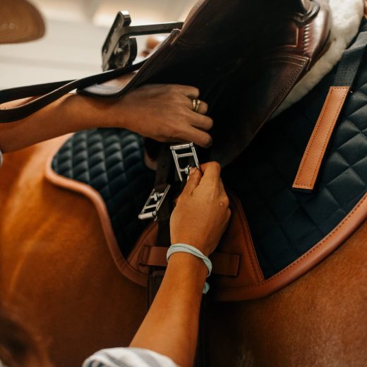 Zadeldek Classic spring