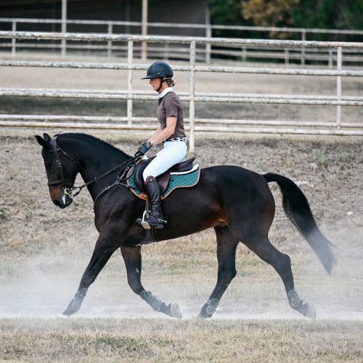 Zadeldek Classic spring