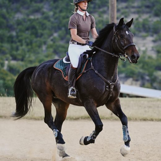 Zadeldek Classic spring