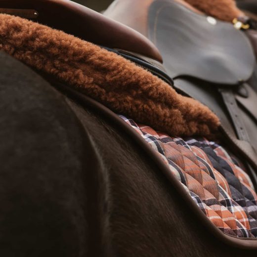 Zadeldek Heritage Check spring